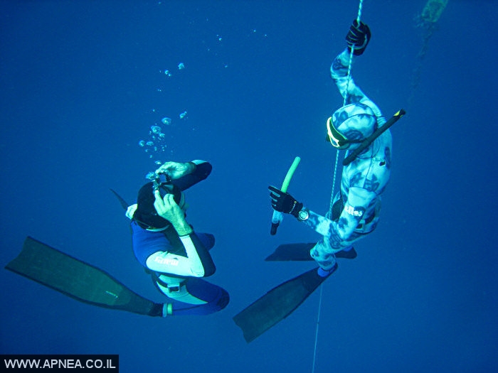    3  - APNEA -  , ,   - 024