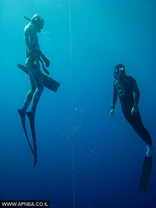    3  - APNEA -  , ,   - 001