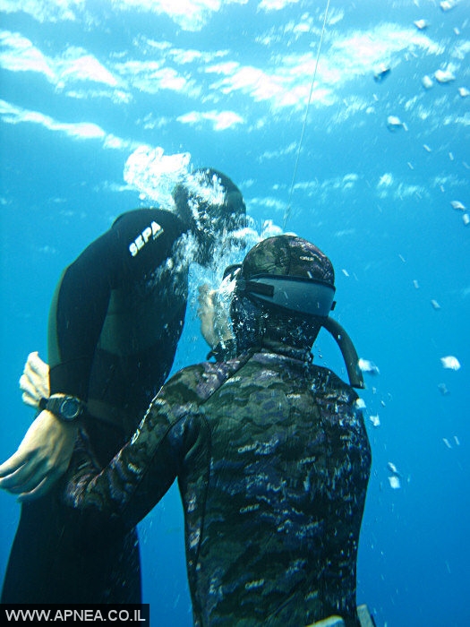    3  - APNEA -  , ,   - 002