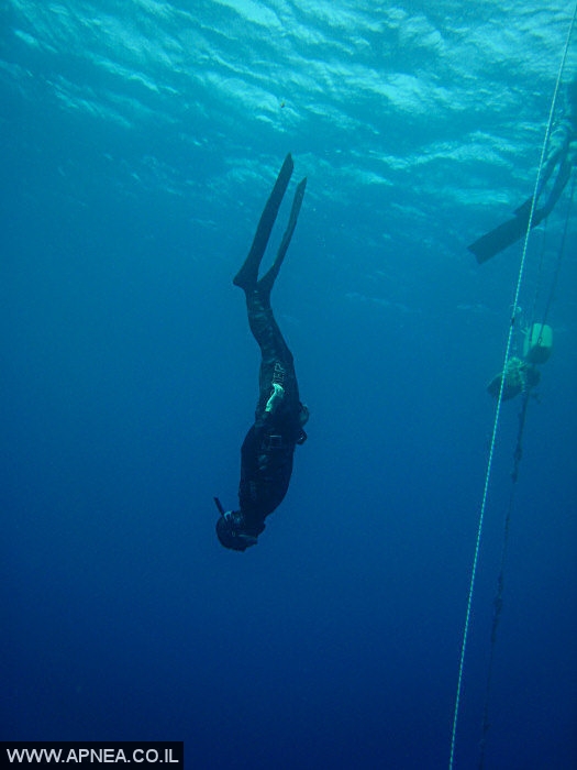    3  - APNEA -  , ,   - 005