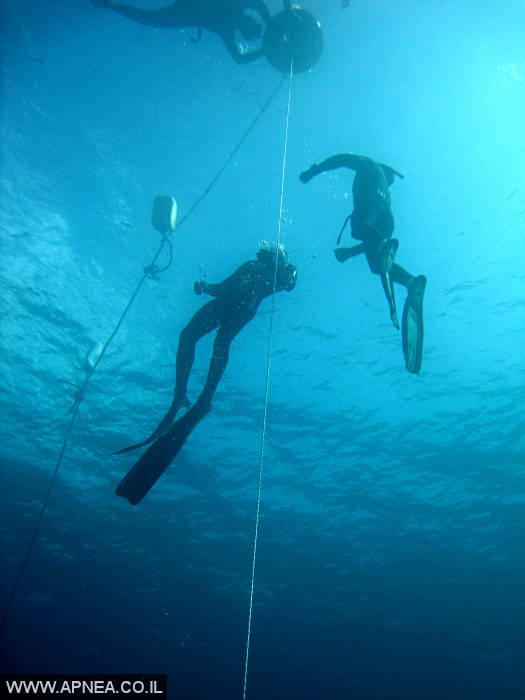    - APNEA  ,  '' - 009