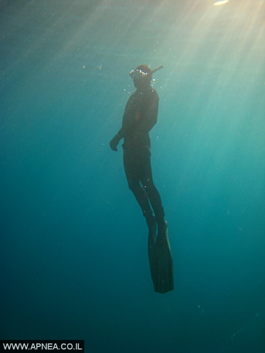    - APNEA -    - 005