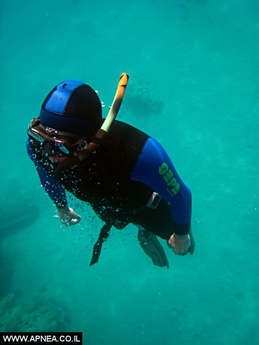 apnea                                001