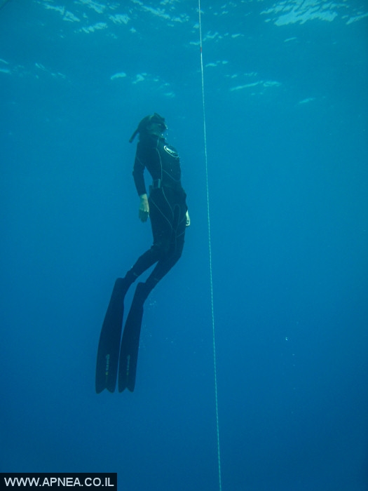    - APNEA -  ,   - 010