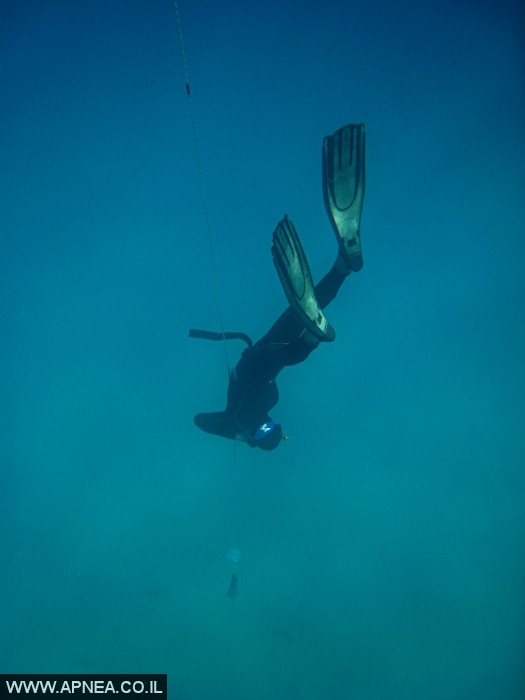    - APNEA -  ,   - 011