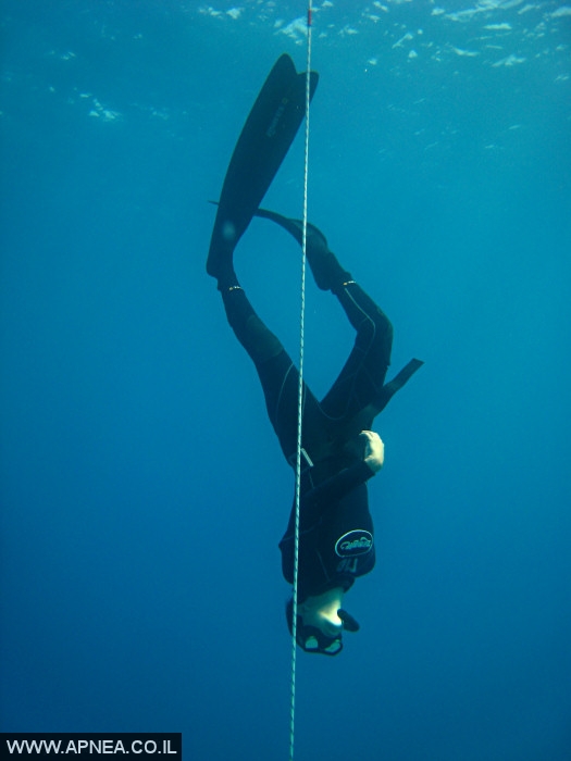    - APNEA -  ,   - 008