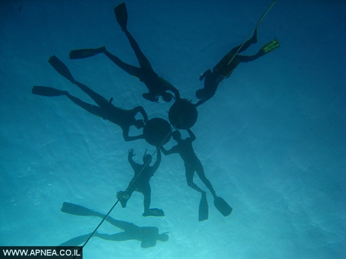    - APNEA -  , , ,   - 003