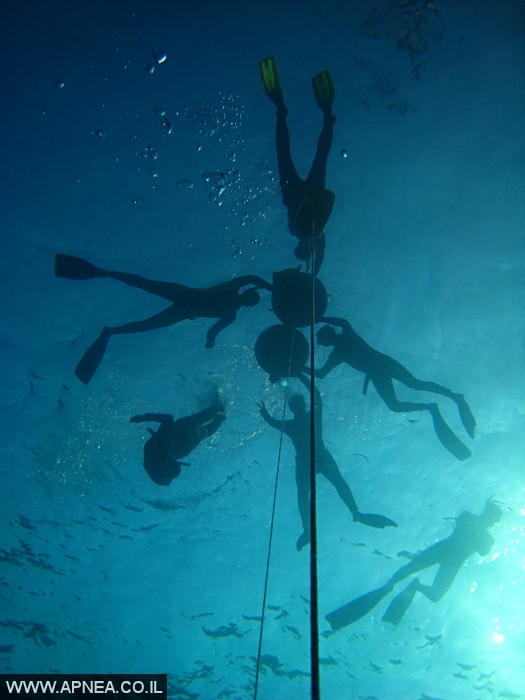    - APNEA -  , , ,   - 004
