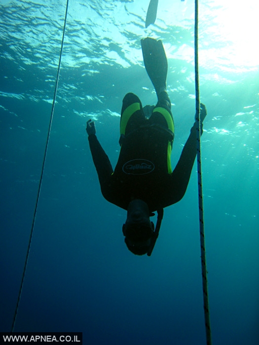    - APNEA -  , , ,   - 005
