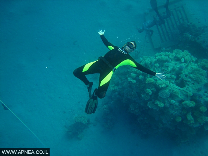    - APNEA -  , , ,   - 006