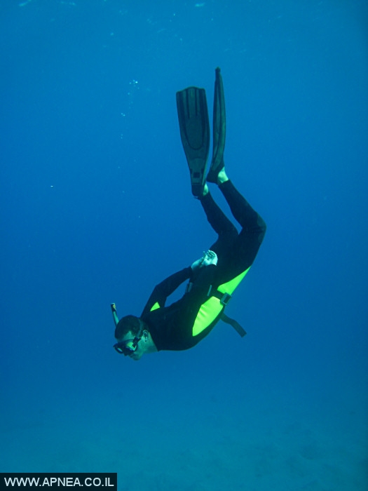    - APNEA -  , , ,   - 016