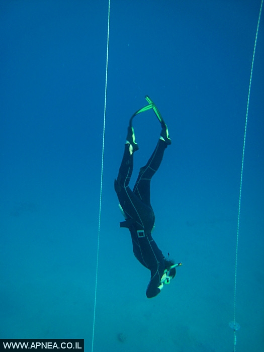    - APNEA -  , , ,   - 017