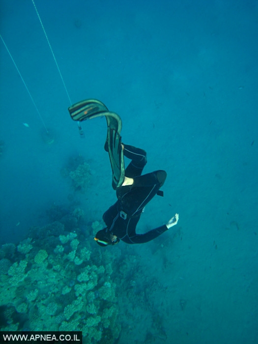    - APNEA -  , , ,   - 001