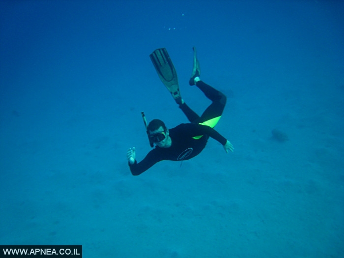    - APNEA -  , , ,   - 010