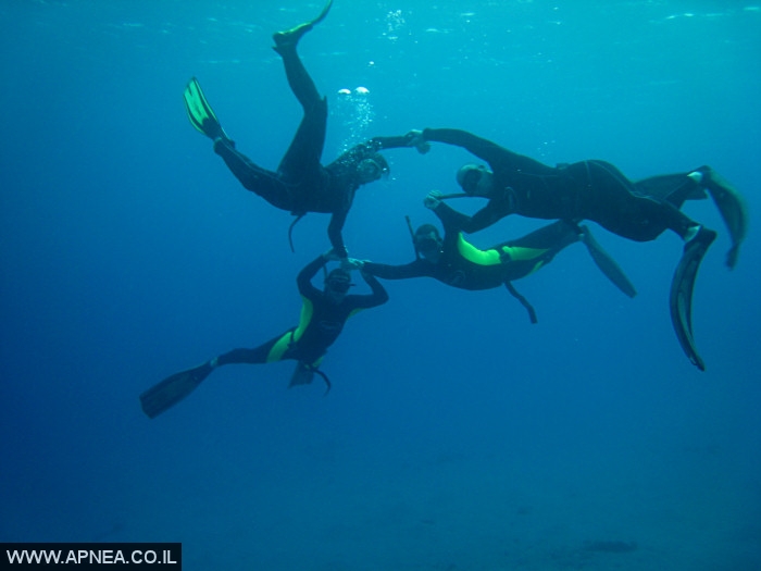    - APNEA -  , , ,   - 012
