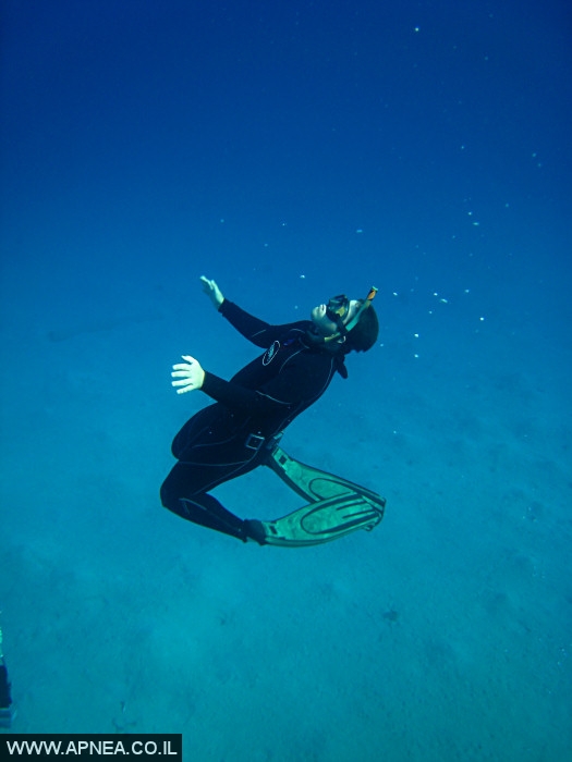    - APNEA -  , ,   - 004