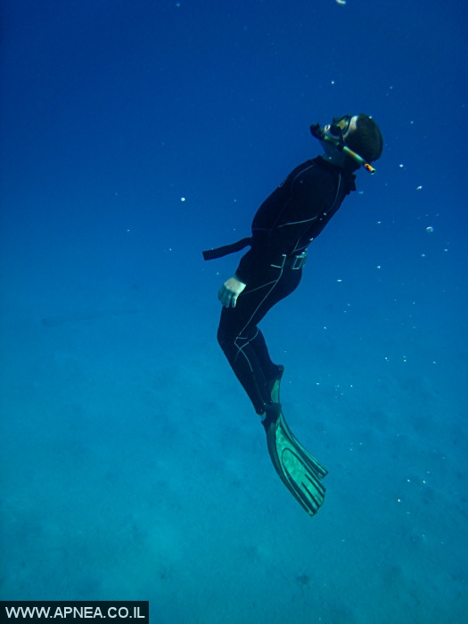    - APNEA -  , ,   - 005