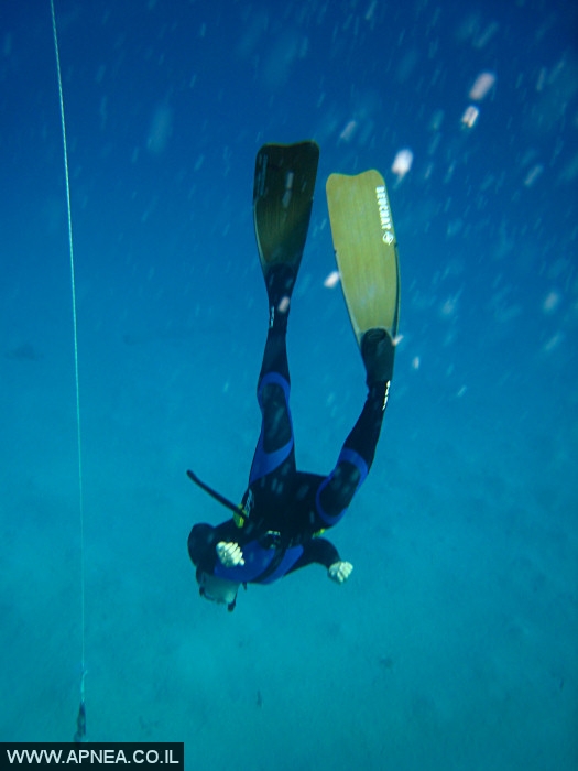    - APNEA -  , ,   - 007