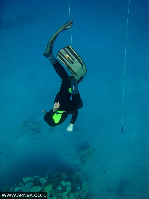    - APNEA -  , ,   - 005