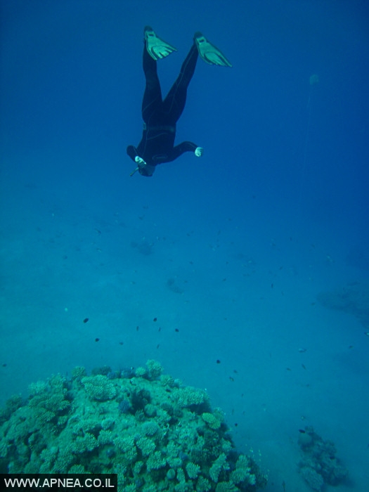    - APNEA -  , ,   - 007