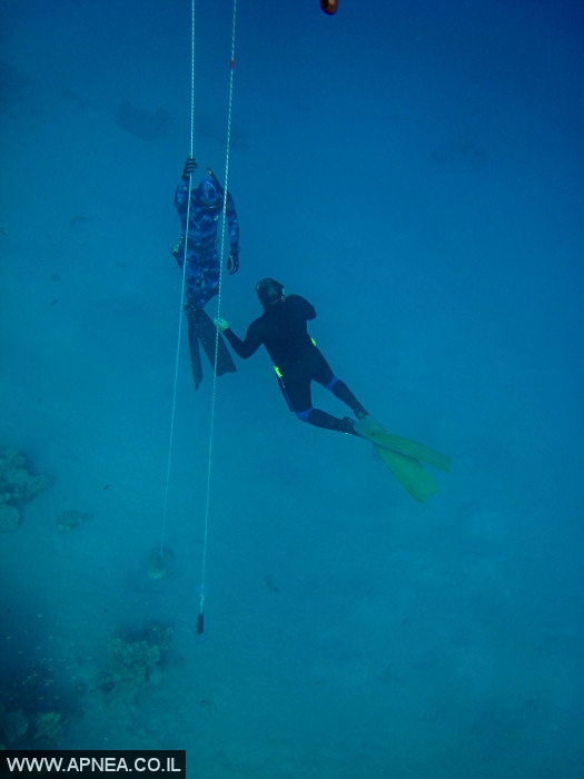    - APNEA -  , ,   - 008