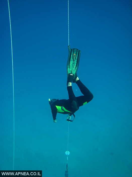    - APNEA -  ,   - 008