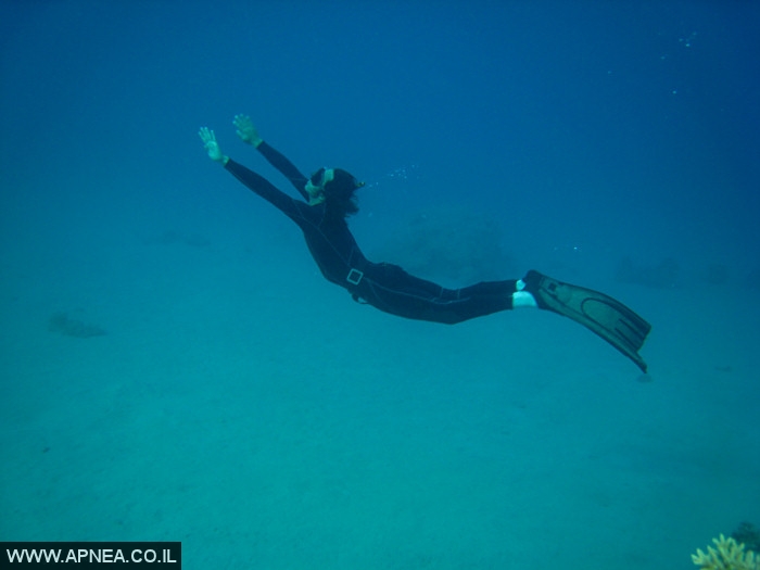    - APNEA -  ,   - 011