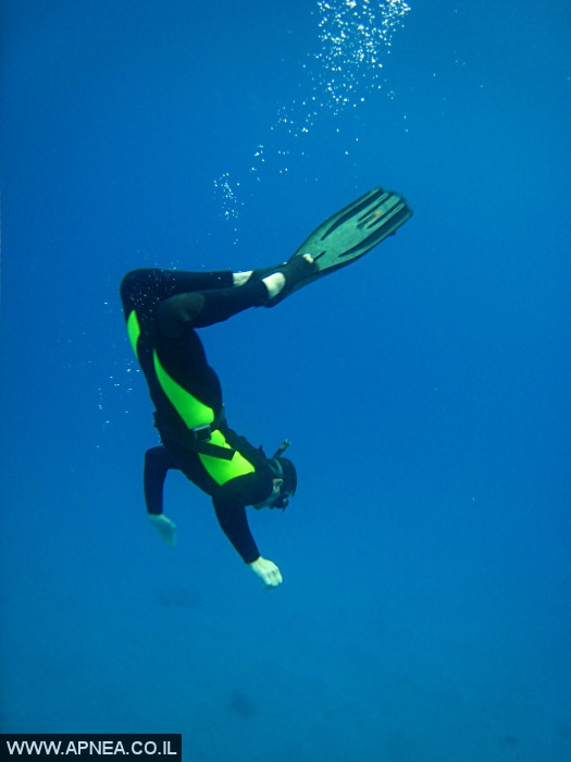    - APNEA -  , , , ,   - 002