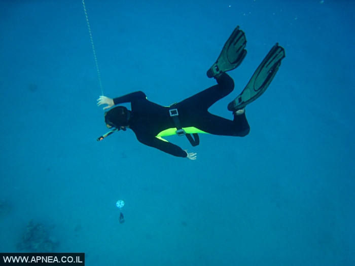    - APNEA -  , , , ,   - 003