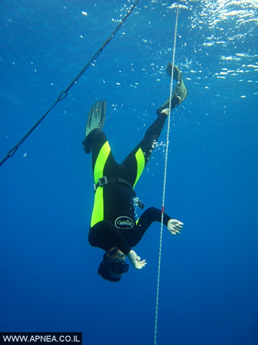    - APNEA -  , , , ,   - 005