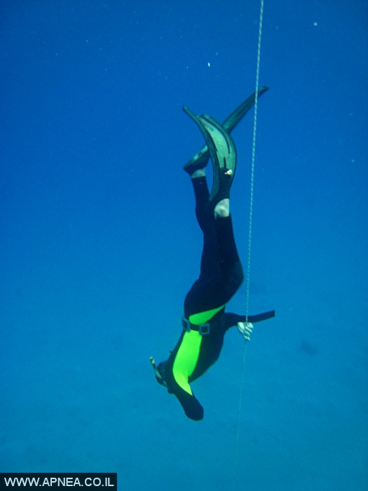    - APNEA -  , , , ,   - 007