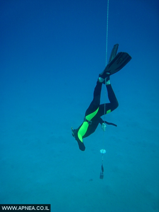    - APNEA -  , , , ,   - 008