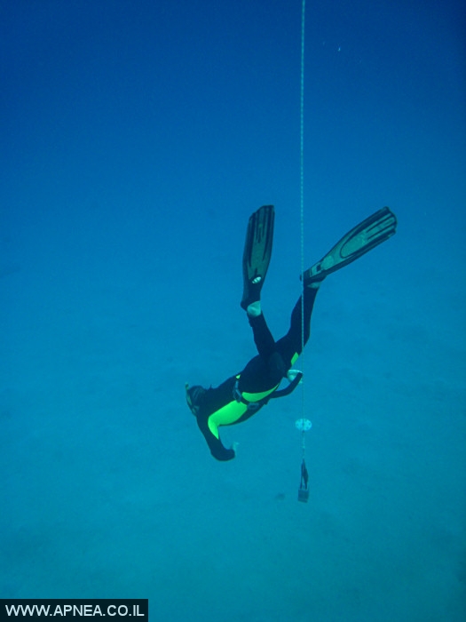    - APNEA -  , , , ,   - 009