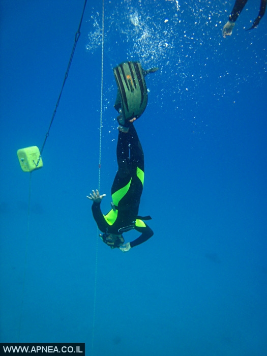    - APNEA -  , , , ,   - 010