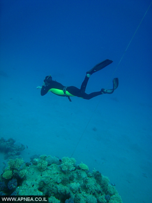    - APNEA -  , , , ,   - 015