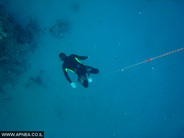    - APNEA -  , , , ,   - 020