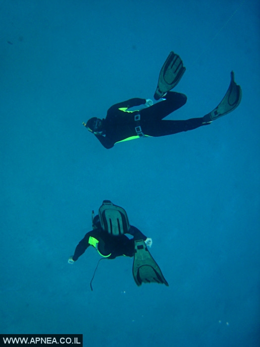    - APNEA -  , , , ,   - 001