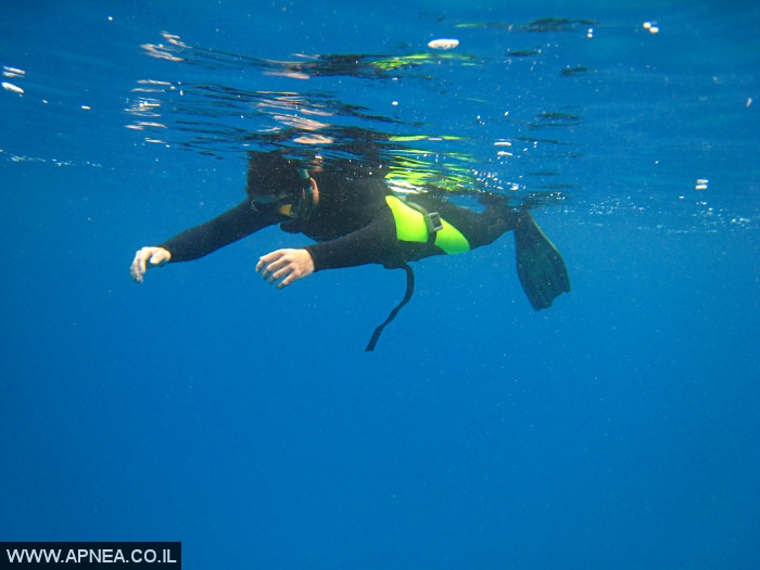    - APNEA -  , , , ,   - 002