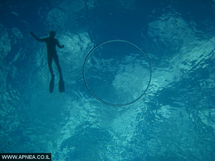    - APNEA -  , , , ,   - 003