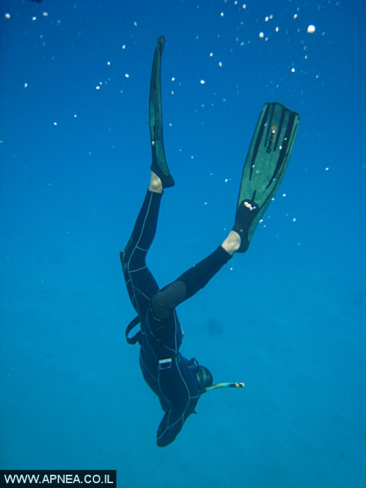    - APNEA -  , , , ,   - 004