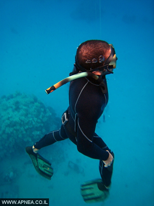    - APNEA -  , , , ,   - 006