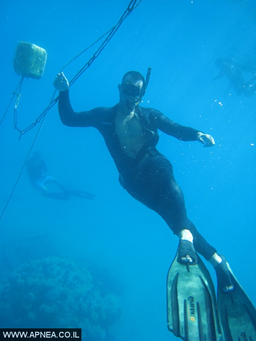    - APNEA -  , , , ,   - 008