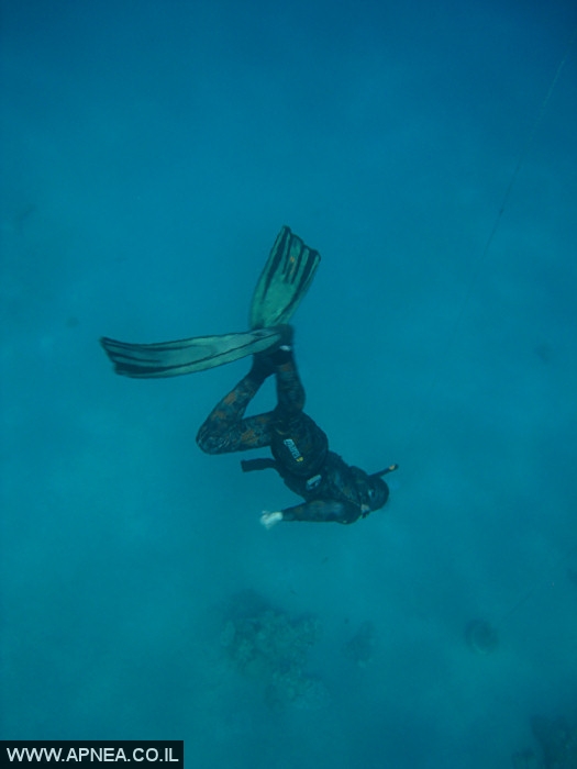    - APNEA -  , , , ,   - 009