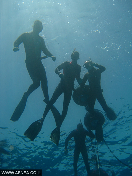    - APNEA -  , , , ,   - 021