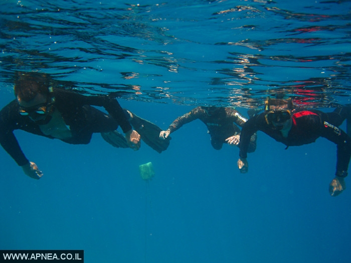    - APNEA -  , , , ,   - 001
