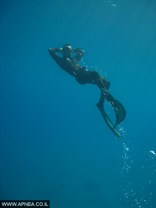    - APNEA -  , , , ,   - 002