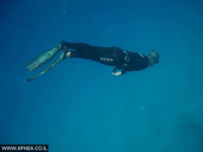    - APNEA -  , , , ,   - 003