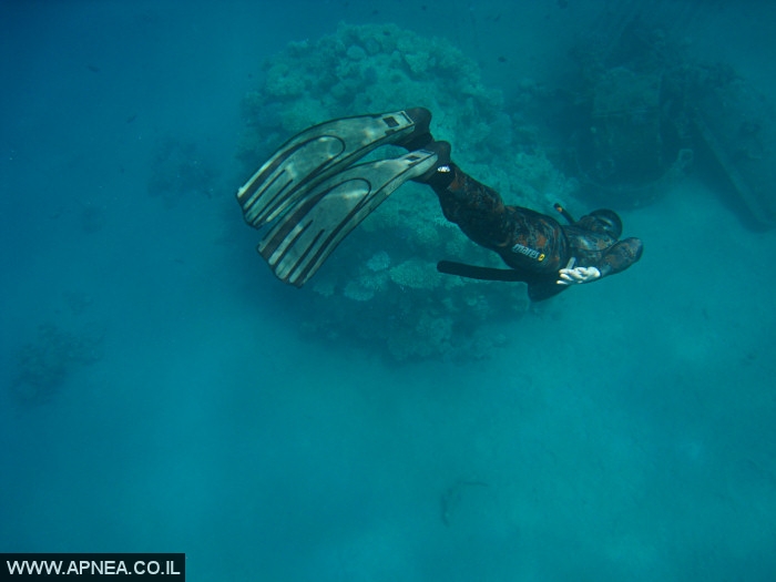    - APNEA -  , , , ,   - 004