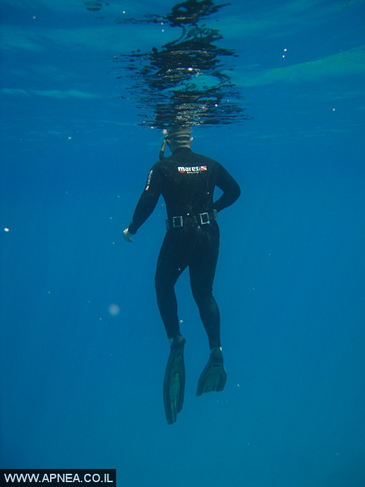    - APNEA -  , , , ,   - 005