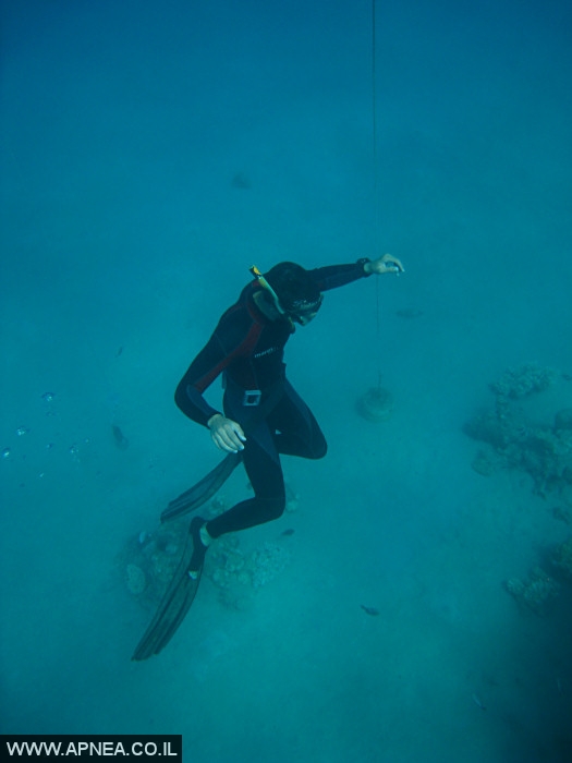    - APNEA -  , , , ,   - 006